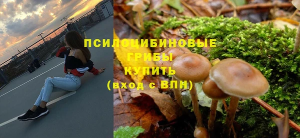 PSILOCYBIN Абаза