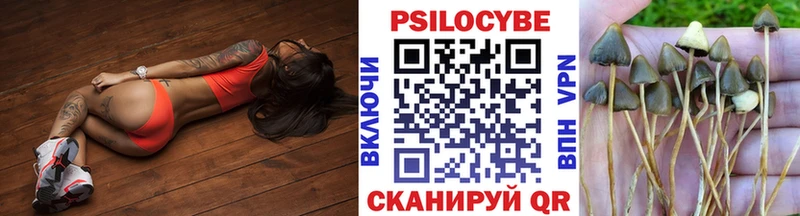 что такое наркотик  Темников  Галлюциногенные грибы прущие грибы 